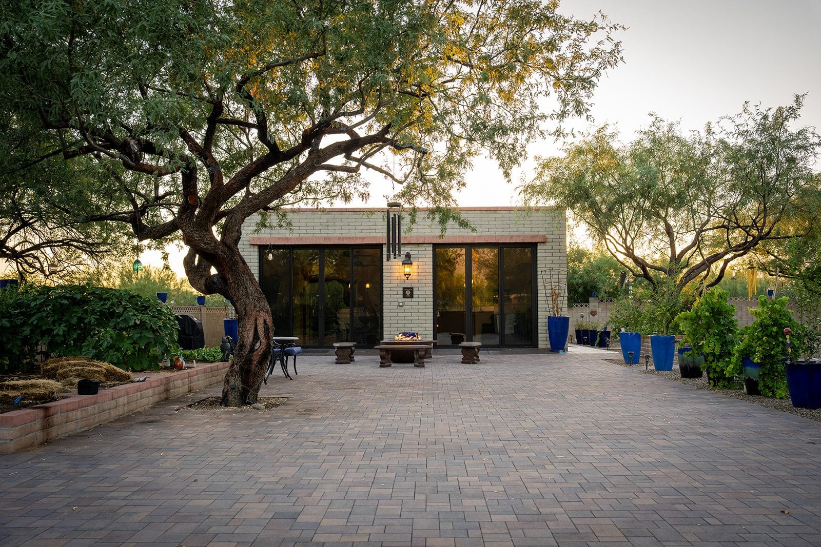 The old mesquite tree over the paved patio